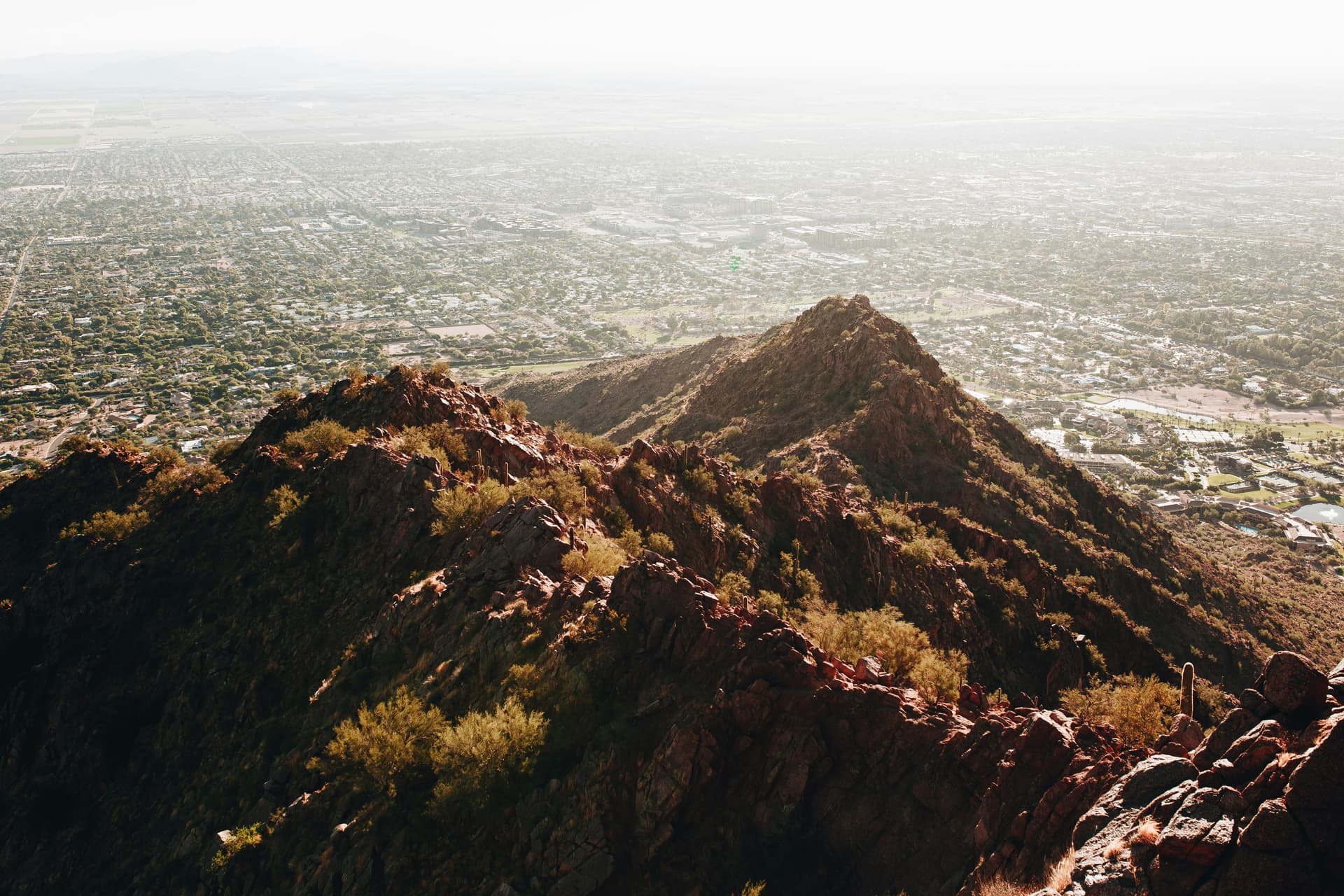Meeting the Rising Demand for Dental Talent in Phoenix - Phoenix