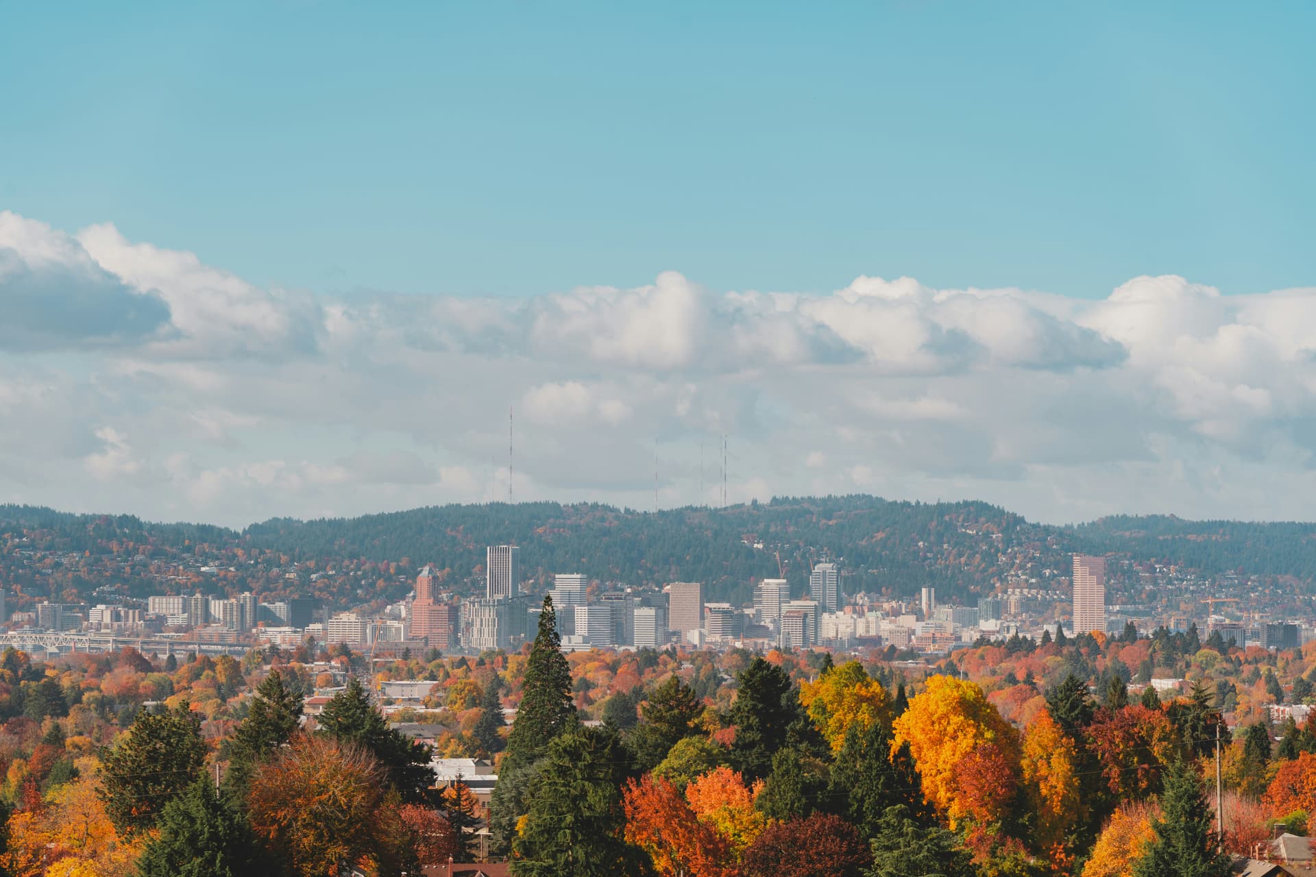 Meeting the Rising Demand for Dental Talent in Portland - Portland